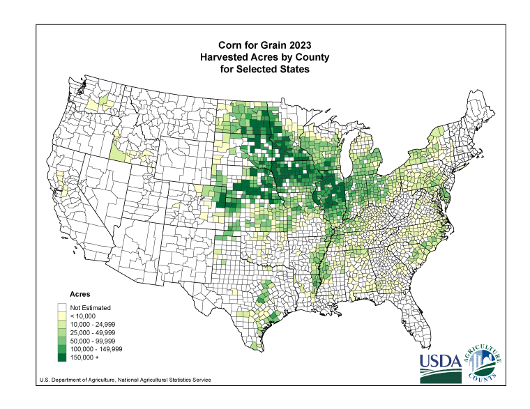 Corn: Harvested Acreage by County