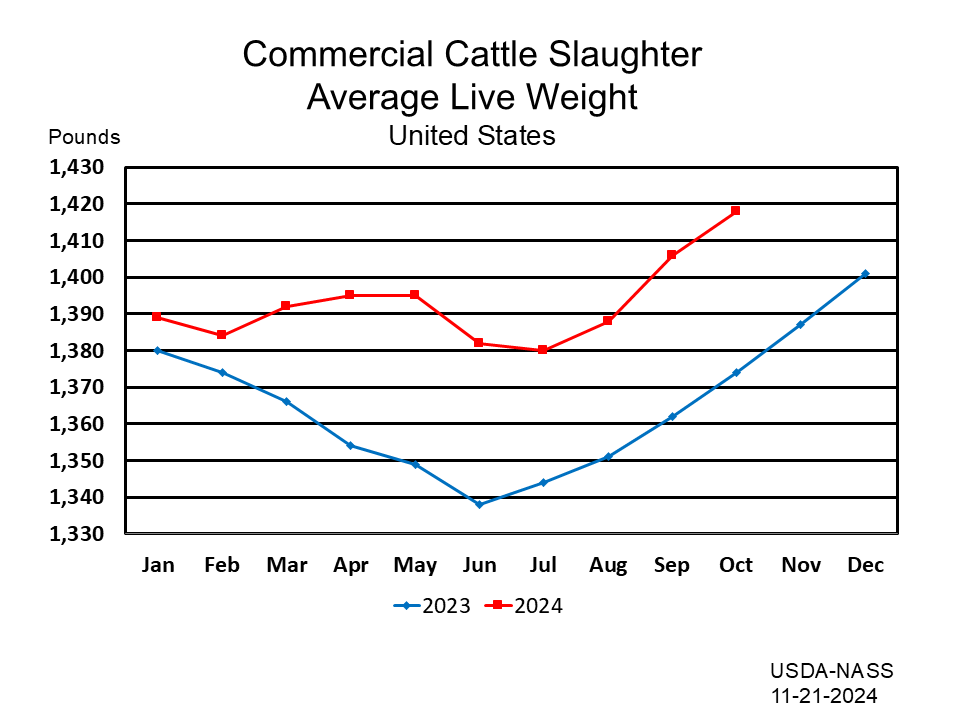 Cattle: Commercial Slaughter Average Liveweight by Month and Year, US