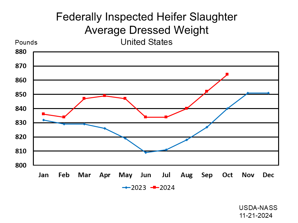 Heifers: Federally Inspected Average Dressed Weight by Month and Year, US