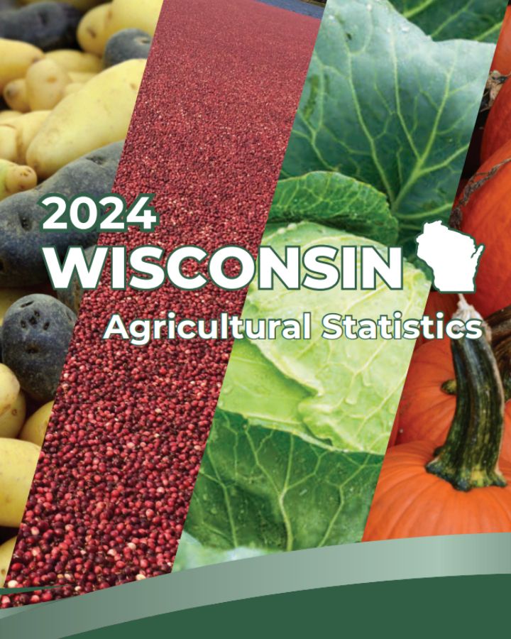 Cover of the 2024 Wisconsin Annual Statisical Bulletin