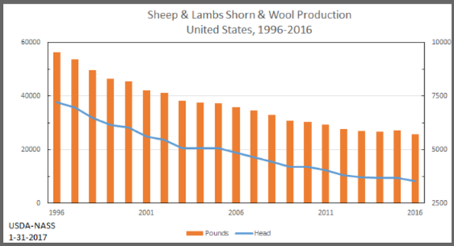 Sheep: Inventory Shorn and Wool Production by Year, US